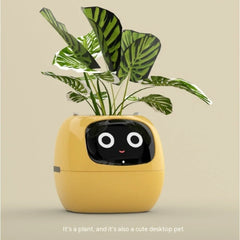 Smart Planter Endless Fun Over 49 Rich Expressions 7 Smart Sensors And AI Chips Make Raising Plants Easy And Fun - Show Gadgets