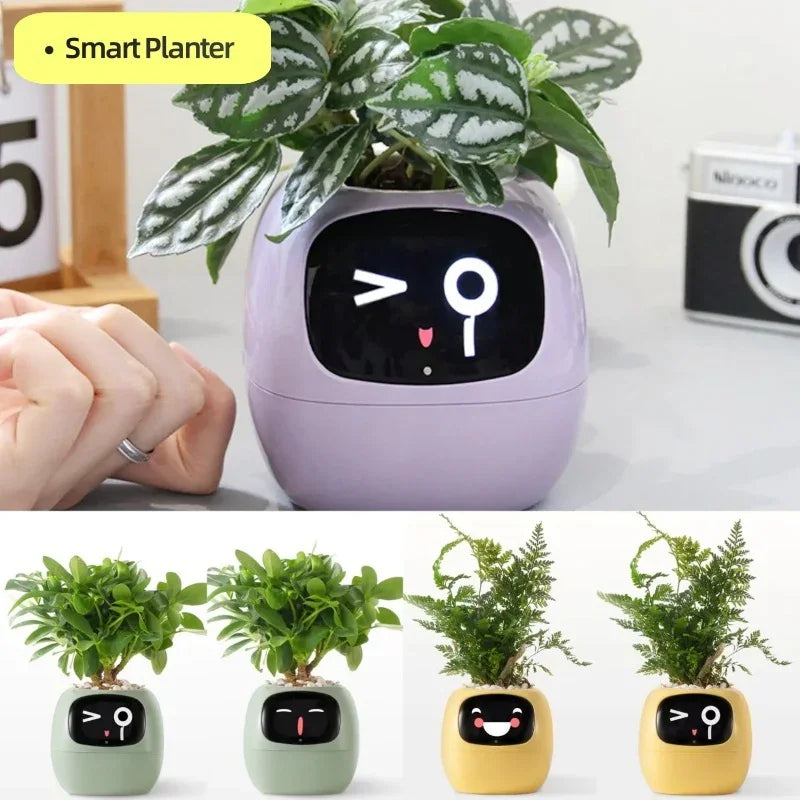 Smart Planter Endless Fun Over 49 Rich Expressions 7 Smart Sensors And AI Chips Make Raising Plants Easy And Fun - Show Gadgets