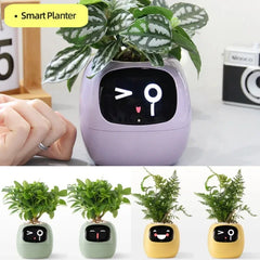 Smart Planter Endless Fun Over 49 Rich Expressions 7 Smart Sensors And AI Chips Make Raising Plants Easy And Fun - Show Gadgets