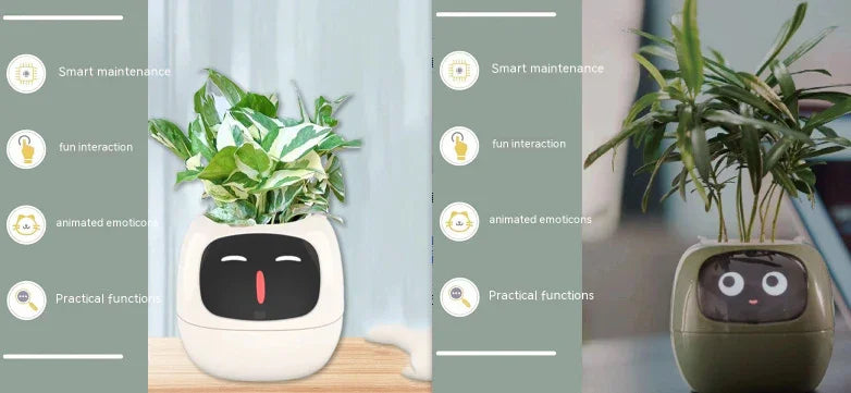 Smart Planter Endless Fun Over 49 Rich Expressions 7 Smart Sensors And AI Chips Make Raising Plants Easy And Fun - Show Gadgets