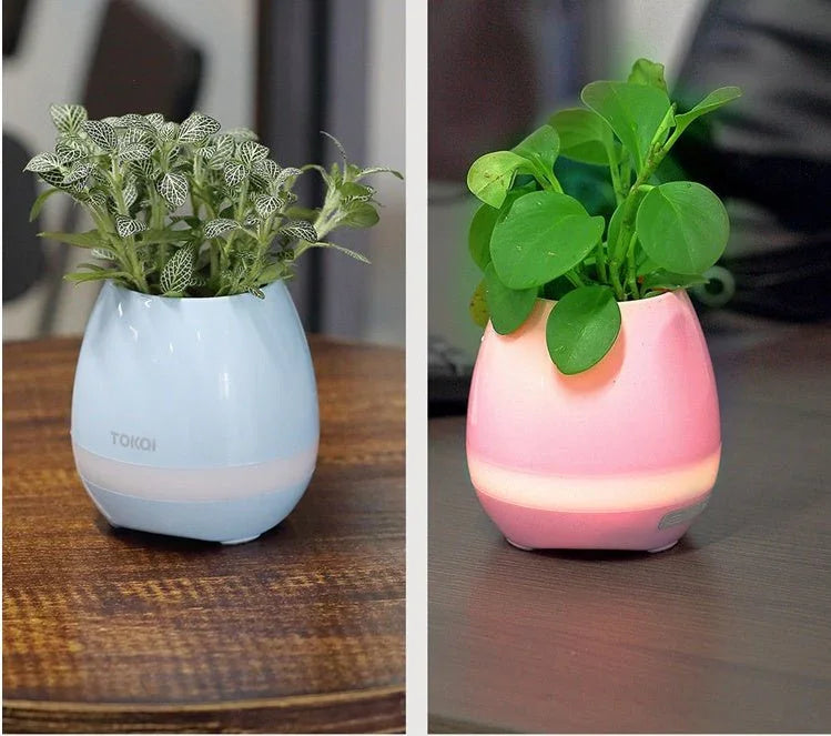 Touch - sensitive music vase desktop audio - Show Gadgets