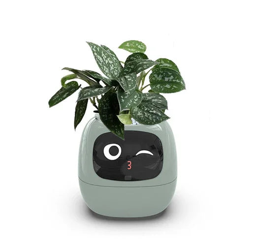 Smart Planter Endless Fun Over 49 Rich Expressions 7 Smart Sensors And AI Chips Make Raising Plants Easy And Fun - Show Gadgets